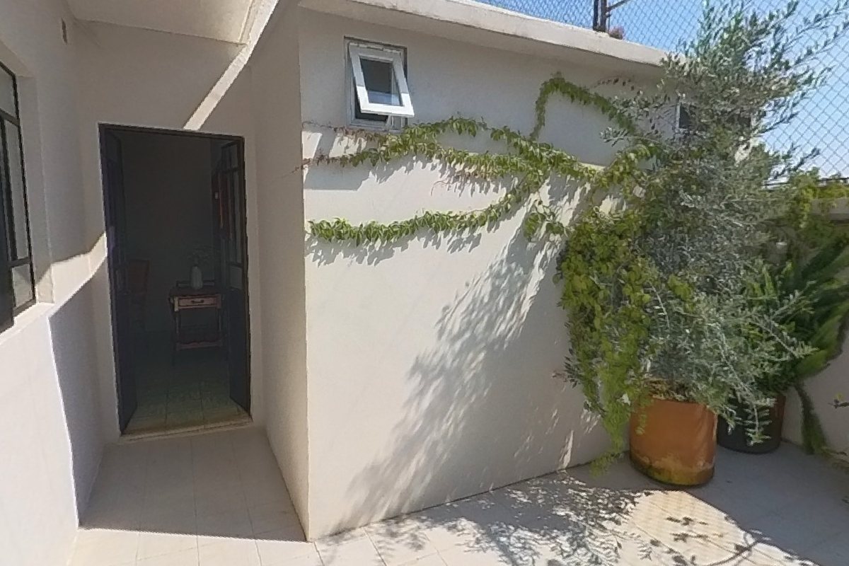 Patio de Casa Mestiza con muro blanco, plantas trepadoras y una maceta